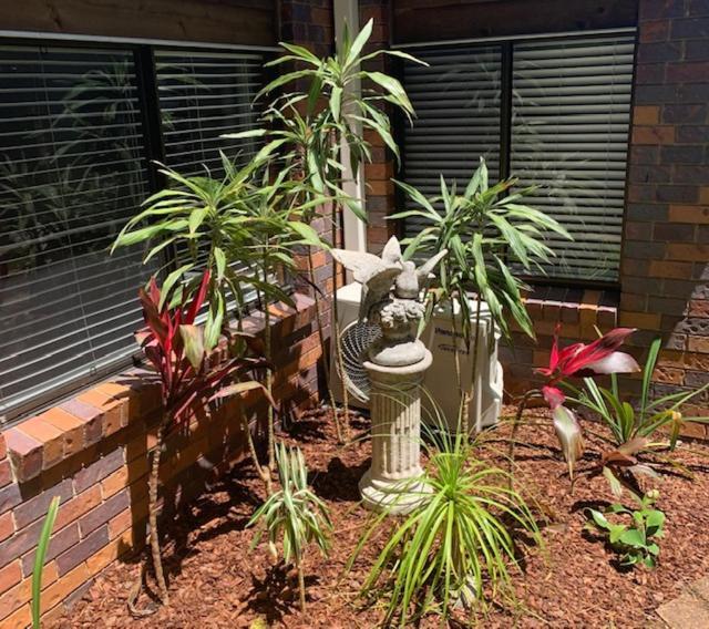 Montville Holiday Apartments Bagian luar foto